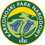 logo-kpn-kolor